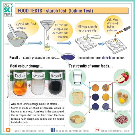 using science skills analyzing a laboratory investigation starch|starch lesson plan pdf.